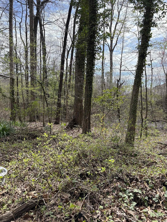 803 Carmichael Rd, Bryant, AR 72022 - view of undeveloped land