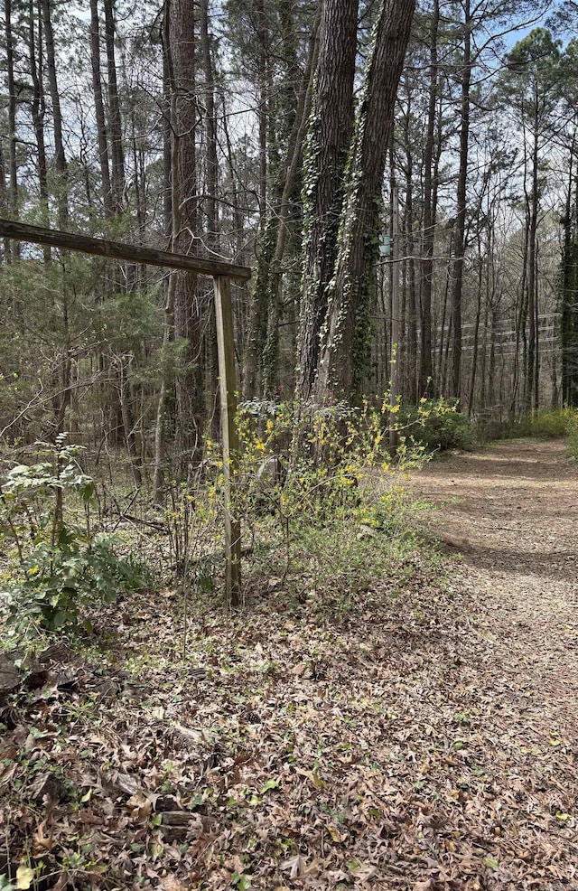 803 Carmichael Rd, Bryant, AR 72022 - view of wooded area