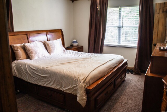 100 Elizabeth St, Prescott, AR 71857 - bedroom featuring multiple windows and carpet floors