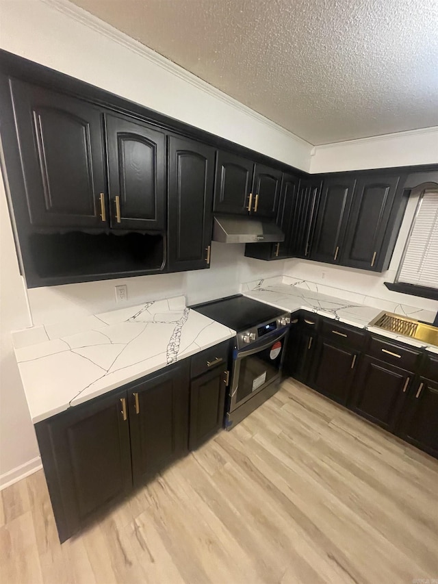 11808 Saint Charles Blvd, Little Rock, AR 72211 - kitchen with stainless steel electric range oven, dark cabinetry, under cabinet range hood, light stone countertops, and light wood finished floors