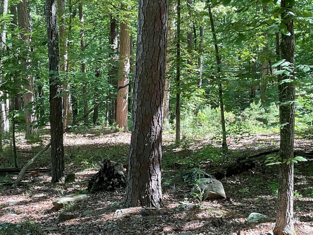 000 Roxie, Greers Ferry, AR 72067
