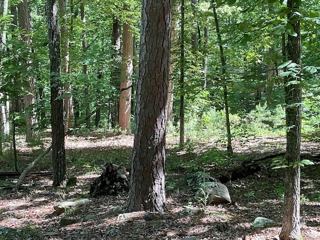 000 Roxie, Greers Ferry, AR 72067