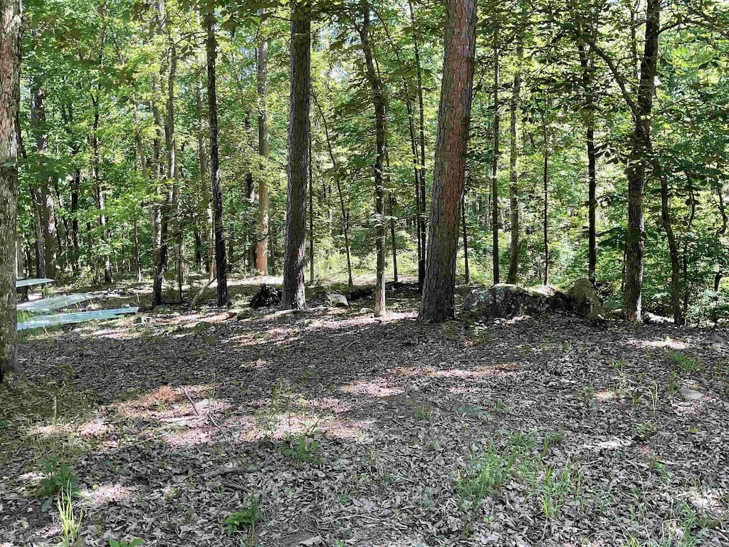 000 Roxie, Greers Ferry, AR 72067