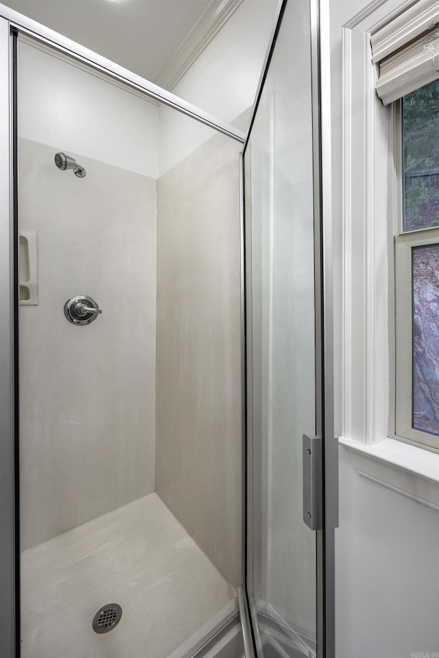 110 Clervaux Cir, Little Rock, AR 72223 - bathroom with a shower stall