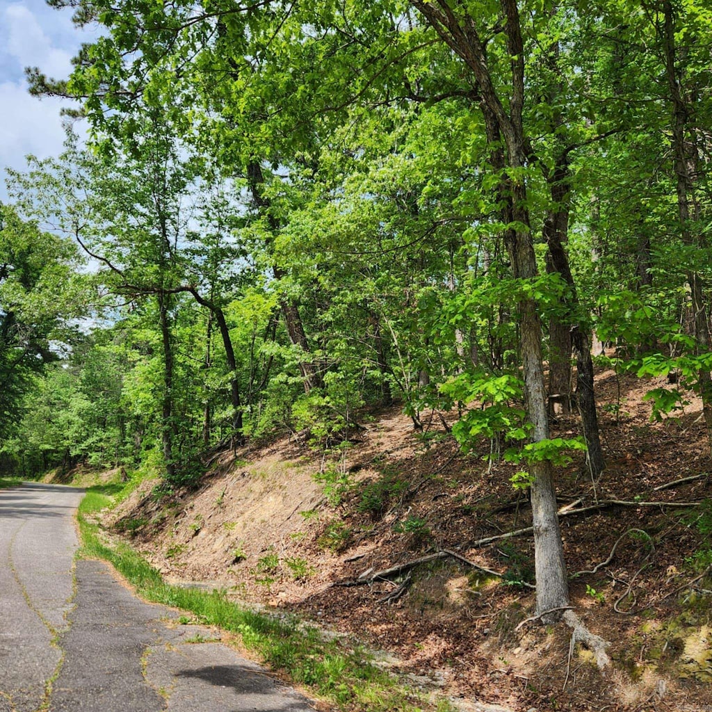Union St, Hot Springs, AR 71901