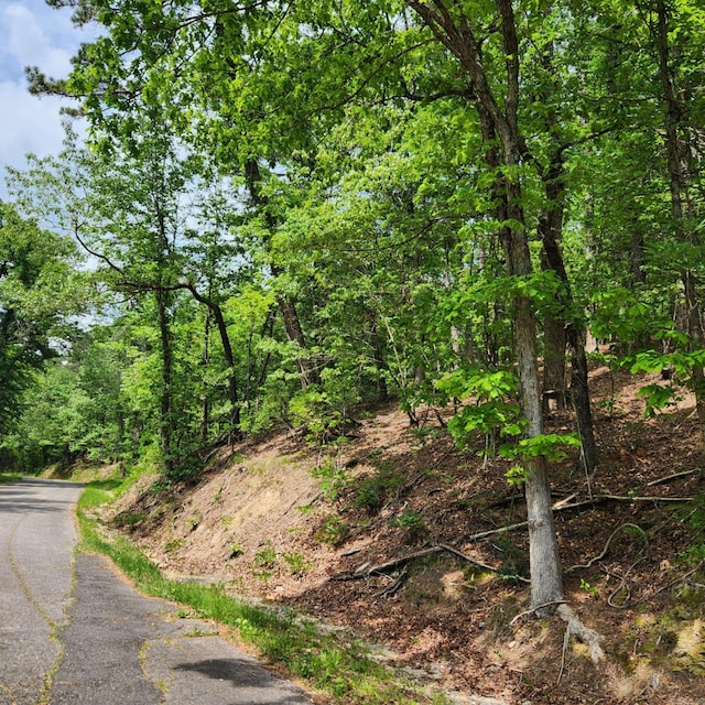 Union St, Hot Springs, AR 71901