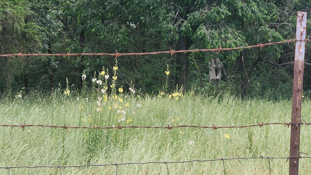 TBD Murphy Rd, Norman, AR 71960