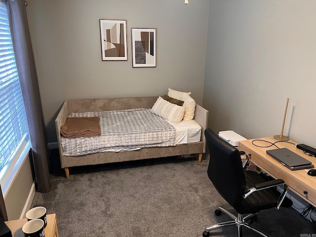 bedroom featuring multiple windows, carpet flooring, and an office area