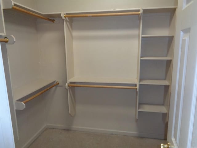 6 Jack Nicklaus Cv, Little Rock, AR 72210 - view of walk in closet
