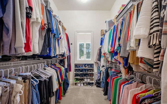 12 Sacedon Trce, Hot Springs Village, AR 71909 - walk in closet featuring carpet floors