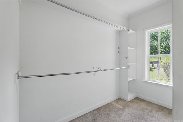 113 Shady Dr, Maumelle, AR 72113 - spacious closet with carpet flooring