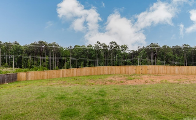 92 Hudson Dr, Sheridan, AR 72150 - view of yard