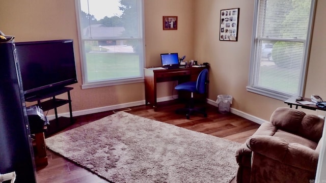 office space featuring plenty of natural light, baseboards, and wood finished floors