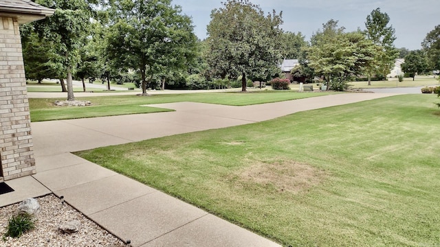 view of green lawn