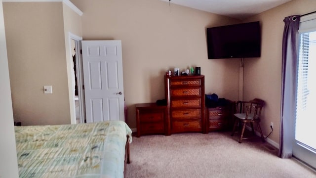 bedroom featuring carpet flooring