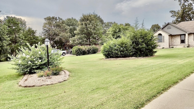 view of green lawn