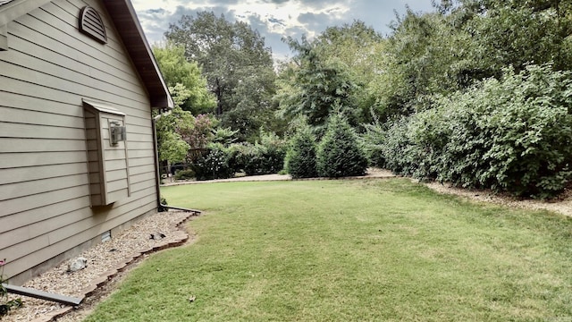 view of green lawn