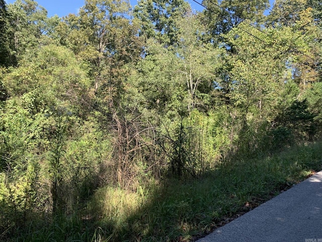 Address Not Disclosed, Midway AR, 72651 land for sale
