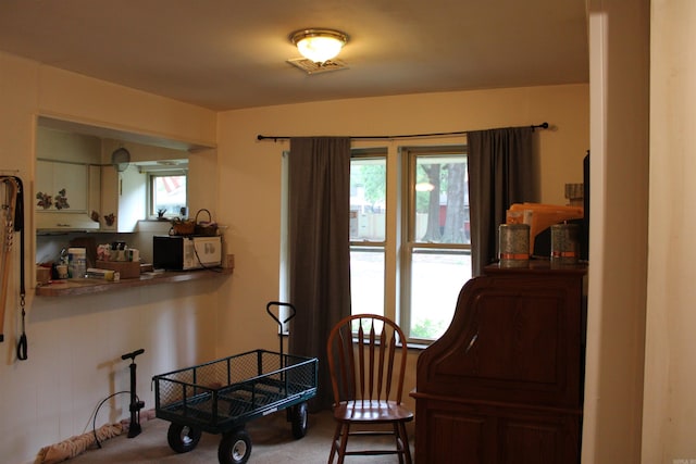living area featuring plenty of natural light and carpet flooring