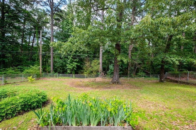25 Barbara Cir, Little Rock, AR 72204 - view of yard