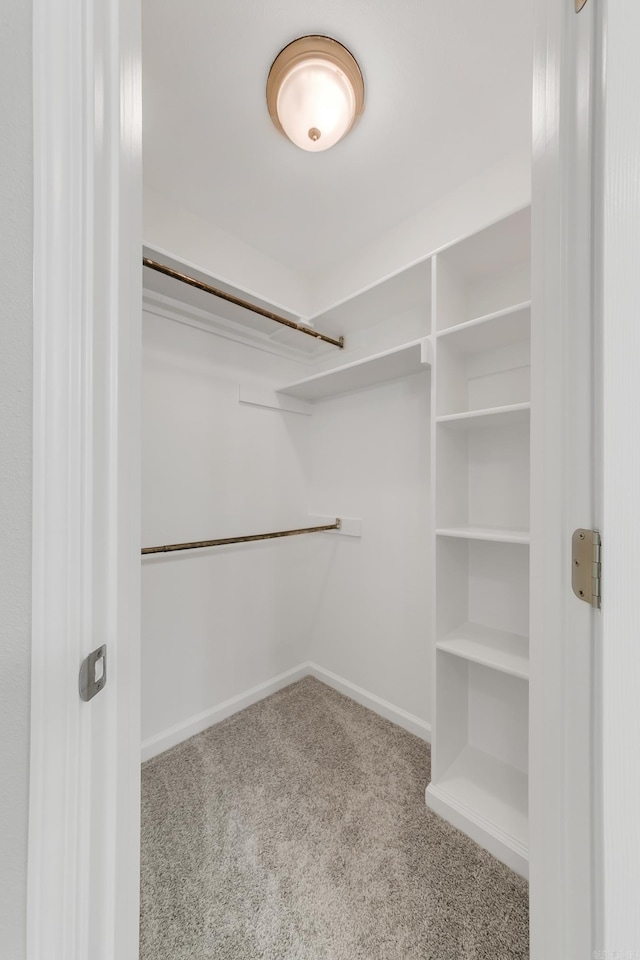 14 Woodbridge, Cabot, AR 72023 - spacious closet with carpet floors