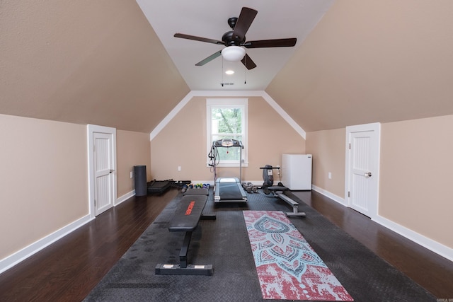 11316 Barrett Rd, Roland, AR 72135 - exercise room with wood finished floors, ceiling fan, baseboards, and lofted ceiling