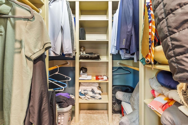 4 Bellegarde Dr, Little Rock, AR 72223 - view of spacious closet