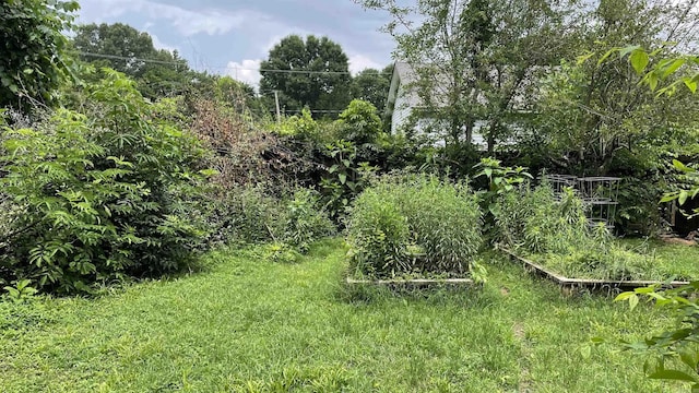 131 Sunny Gap, Conway, AR 72032 - view of local wilderness