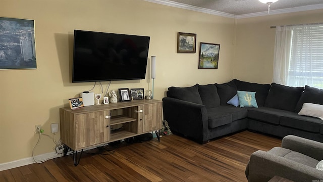 131 Sunny Gap, Conway, AR 72032 - living area featuring dark wood-style flooring, crown molding, baseboards, and a textured ceiling