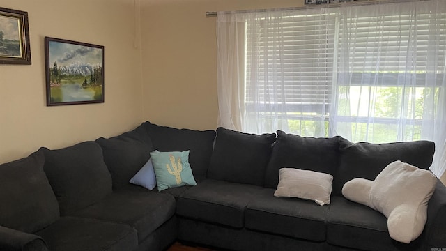 131 Sunny Gap, Conway, AR 72032 - view of living area