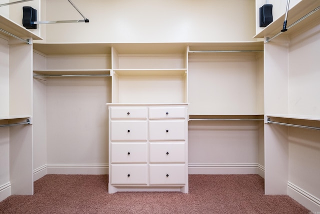 28 Talmont Pl, Little Rock, AR 72223 - spacious closet with carpet