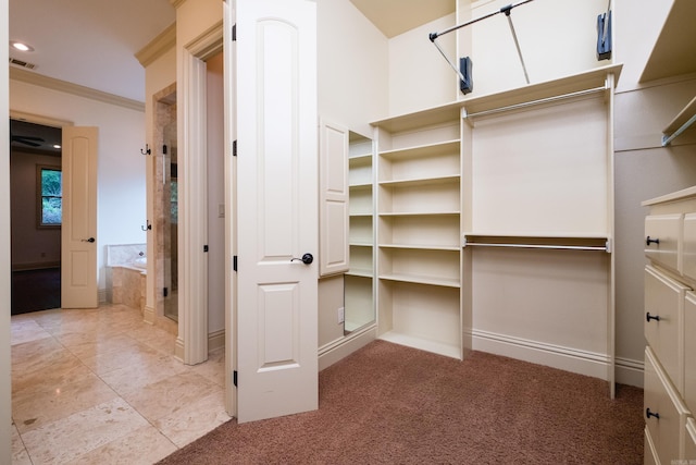28 Talmont Pl, Little Rock, AR 72223 - walk in closet with light carpet
