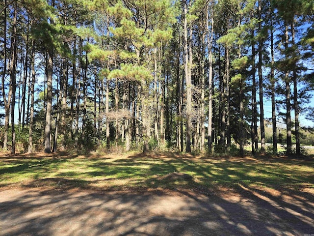 100-121 Sunshine Ln, Judsonia, AR 72081