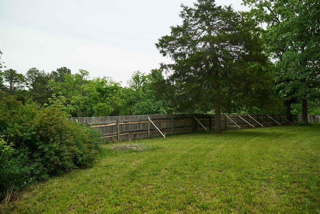 149 Firetower, Hardy, AR 72542 - view of yard