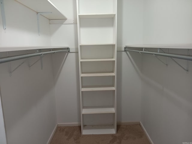 1000 Gum Springs Rd, Searcy, AR 72143 - spacious closet with carpet