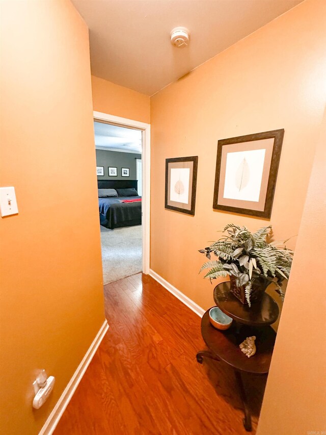 6 Palmer Ct, Searcy, AR 72143 - corridor featuring wood finished floors and baseboards