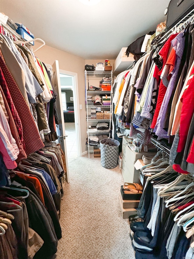 6 Palmer Ct, Searcy, AR 72143 - spacious closet featuring carpet
