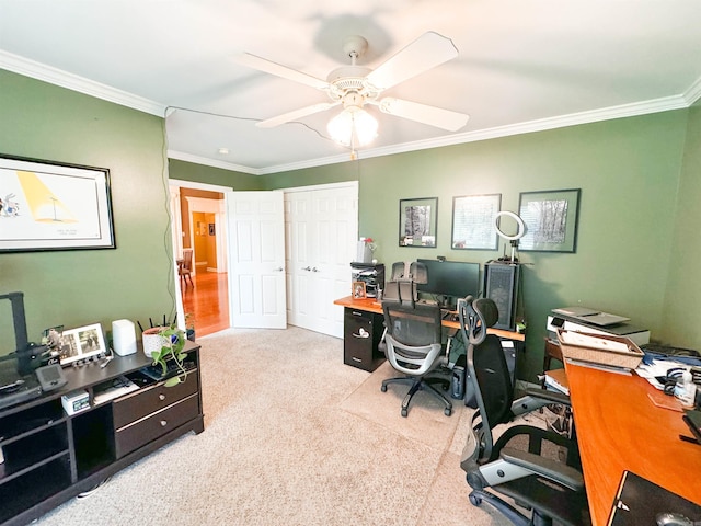 6 Palmer Ct, Searcy, AR 72143 - office with carpet, crown molding, and ceiling fan