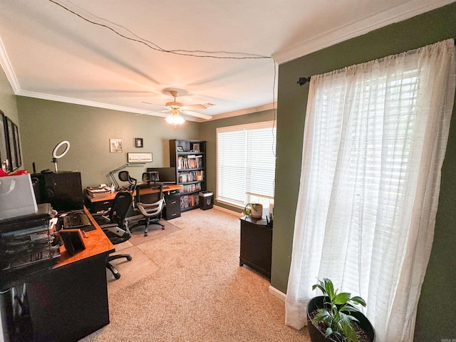 6 Palmer Ct, Searcy, AR 72143 - home office with carpet floors, ornamental molding, and a ceiling fan