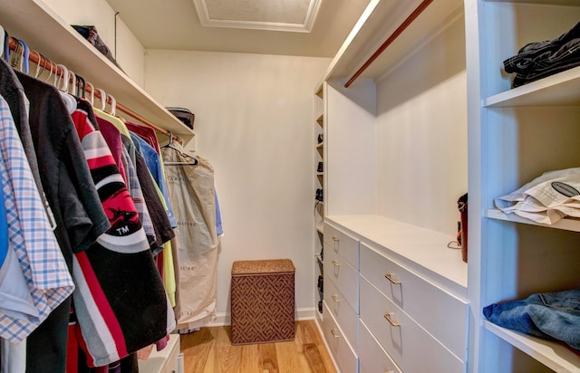 3901 Cedar Hill Rd, Little Rock, AR 72202 - walk in closet featuring light wood-type flooring and attic access