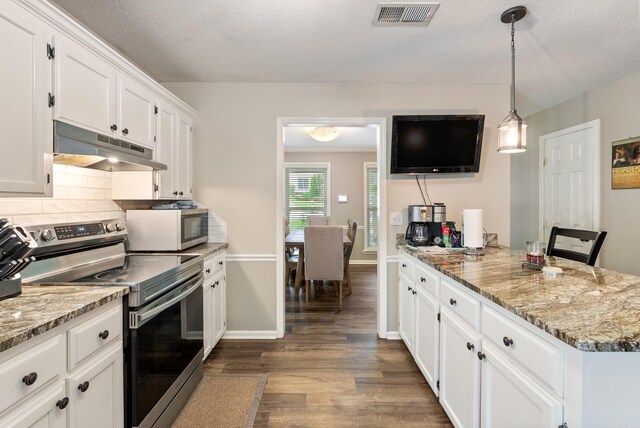 40 High Timber Dr, Maumelle, AR 72113 - kitchen with stainless steel appliances, under cabinet range hood, dark wood-style flooring, a peninsula, and white cabinetry