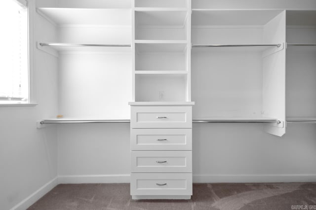 425 Valley Ranch Cir, Little Rock, AR 72223 - walk in closet featuring carpet floors