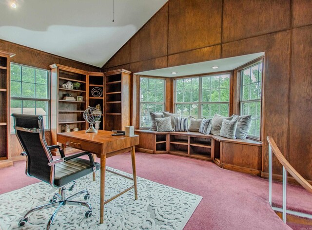 6220 Hopi Dr, North Little Rock, AR 72116 - carpeted home office with lofted ceiling, plenty of natural light, and wooden walls