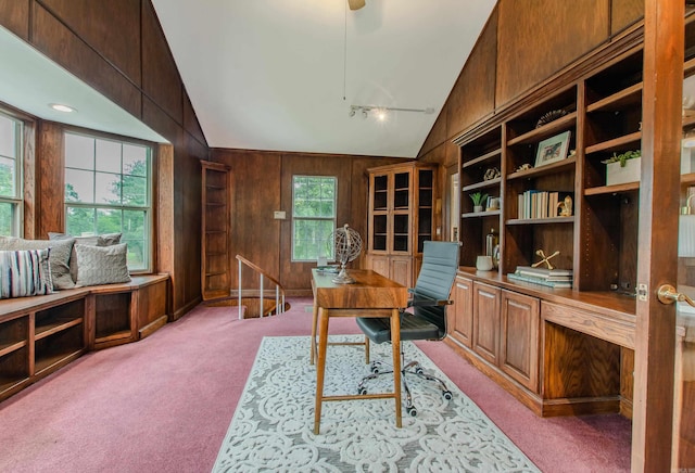 6220 Hopi Dr, North Little Rock, AR 72116 - office space with light carpet, wooden walls, and high vaulted ceiling