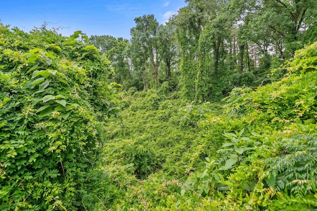 169 Crest St, Hot Springs, AR 71901 - view of undeveloped land