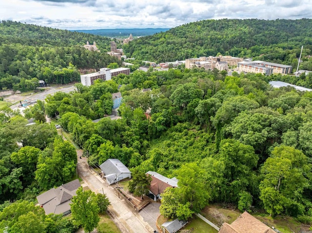 169 Crest St, Hot Springs, AR 71901 - bird's eye view of a forest