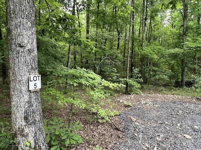 310 Cathedral Pines Ln, Mena, AR 71953
