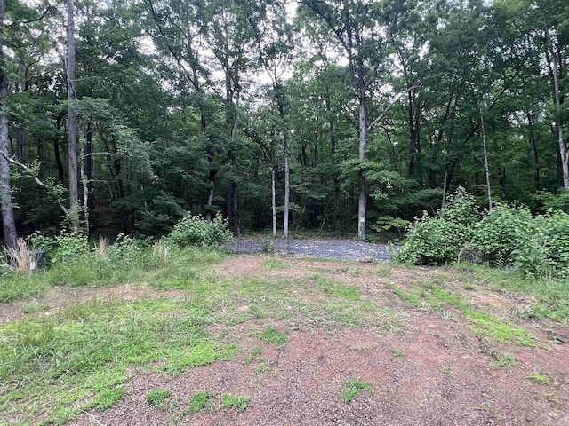 310 Cathedral Pines Ln, Mena, AR 71953