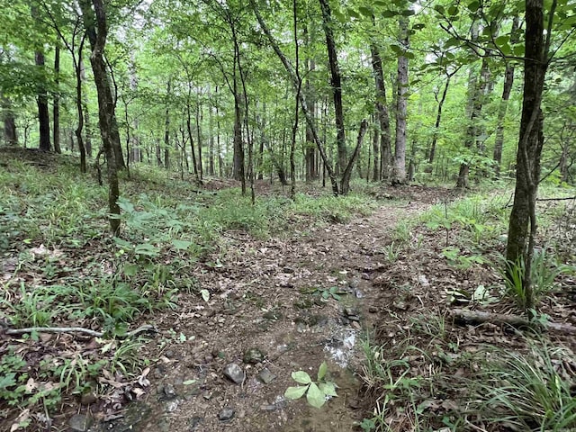 310 Cathedral Pines Ln, Mena, AR 71953