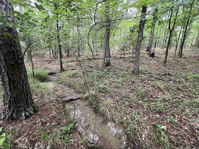 310 Cathedral Pines Ln, Mena, AR 71953